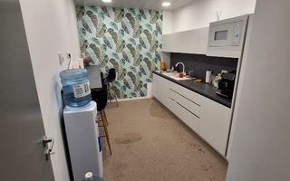 Inchiriere spatiu birouri One Herastrau Office - Poză 12