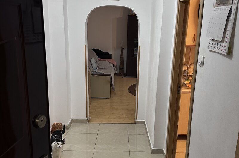 Apartament 3 camere zona Basarabiei - str. Carei - Poză 5