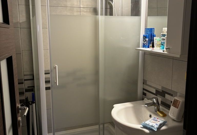 Apartament 4 camere, 100 mp, parcare, langa Parcul Sebastian - Poză 9