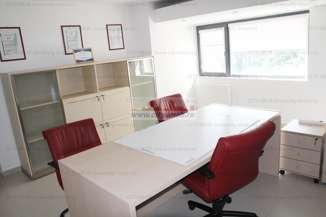 APARTAMENT 8 camere  VICTORIEI (Birouri / Rezidenta de lux ) - Poză 8