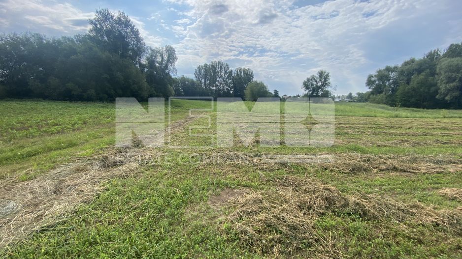 Teren Extravilan | 23 Ari | Satu Mare - Poză 1