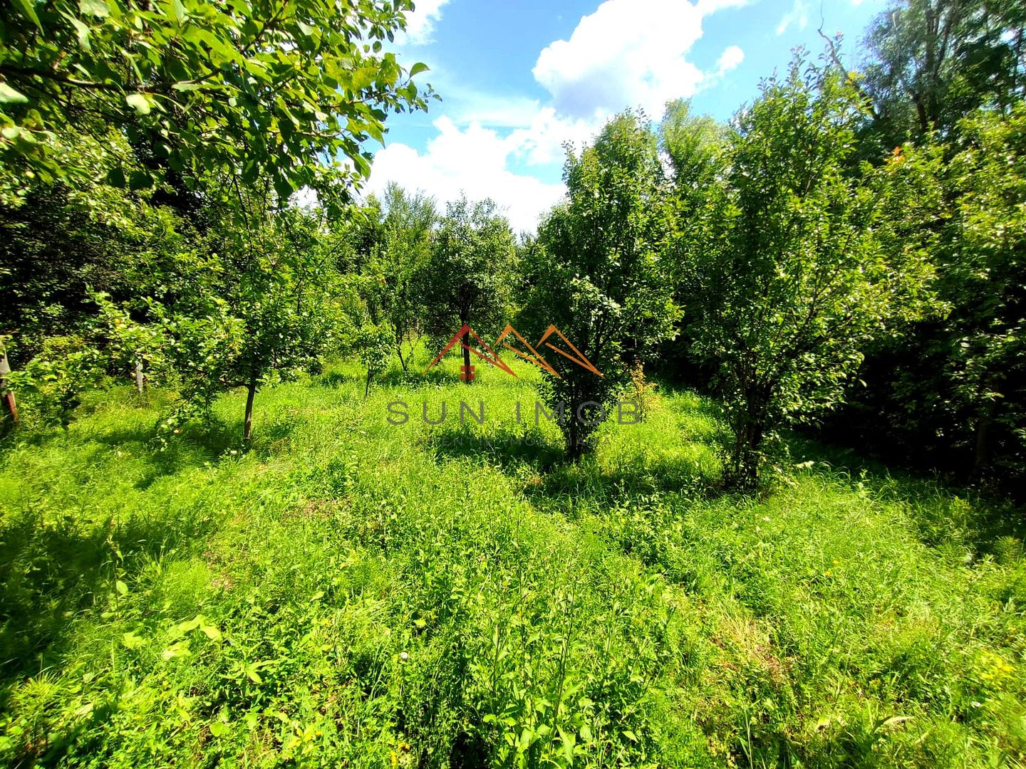 CASĂ INDIVIDUALĂ CU LIVADĂ | 2.195 MP TEREN | POIANA CÂMPINA - Poză 22