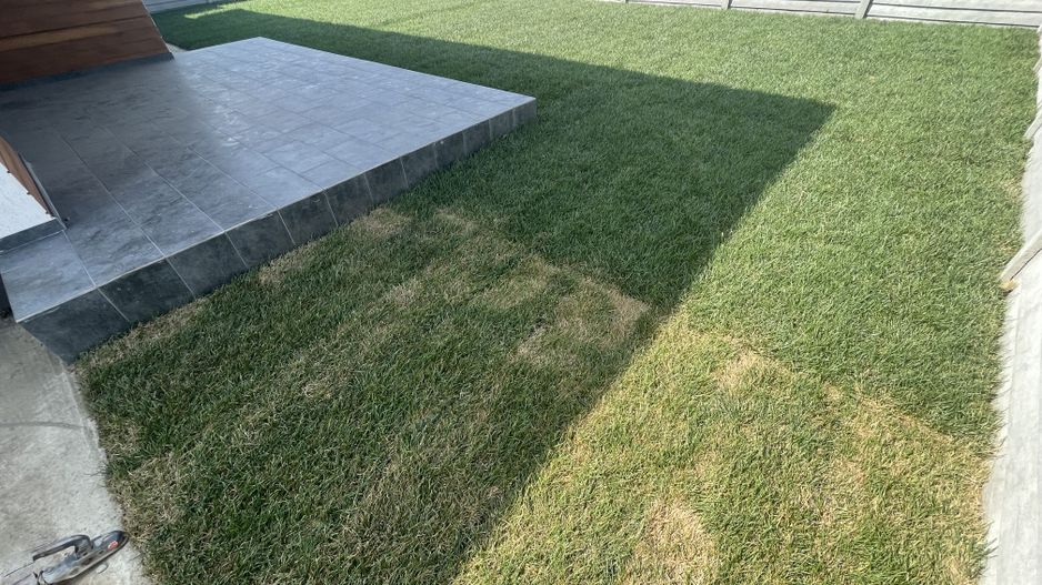 Casa pe parter Tunari, curte 330m - Poză 2