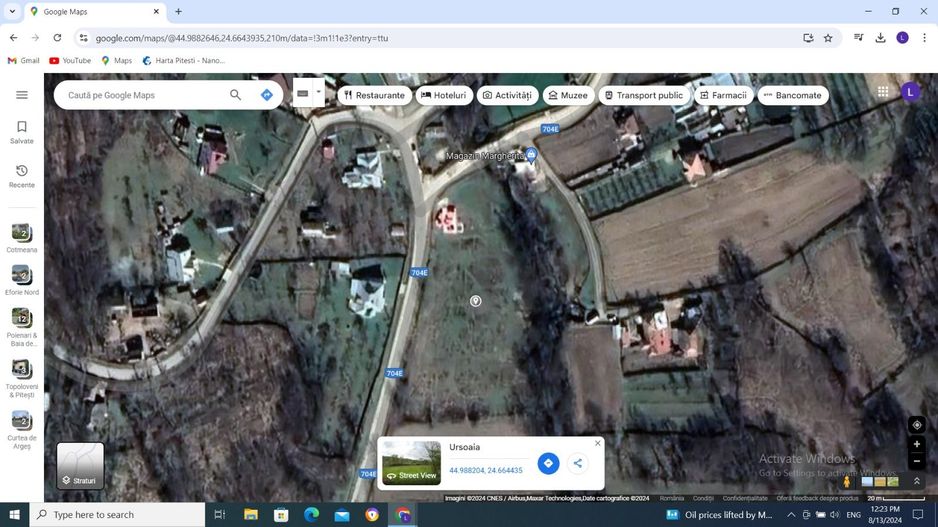 Vanzare teren intravilan, 2000 mp, Cotmeana - Ursoaia - Poză 3