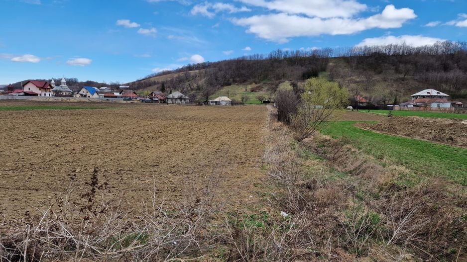 Teren intravilan in Sanduleni/Bacau de vanzare - Poză 14