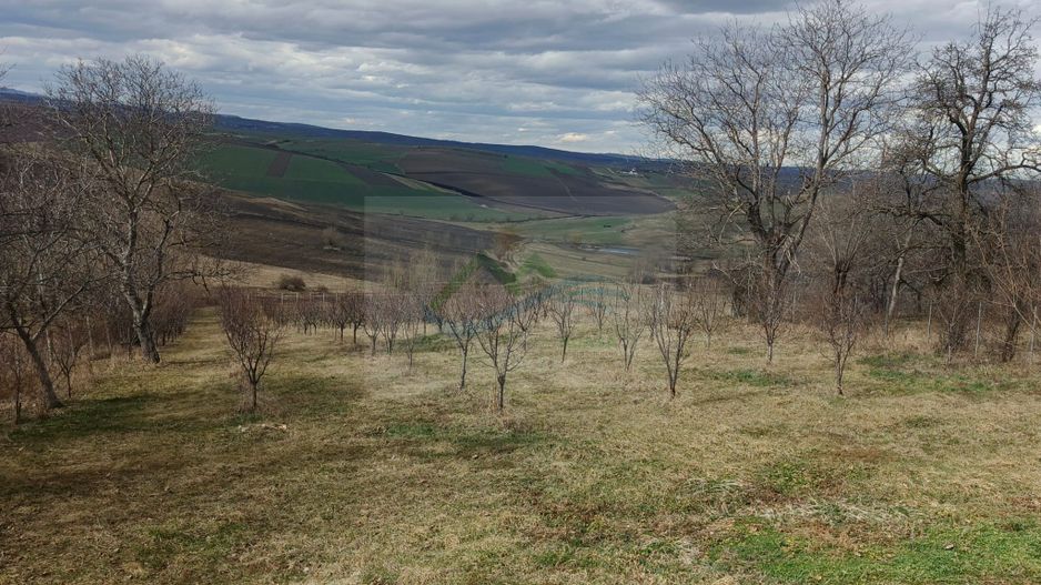 Teren intravilan de vânzare Horodniceni Suceava - Poză 4