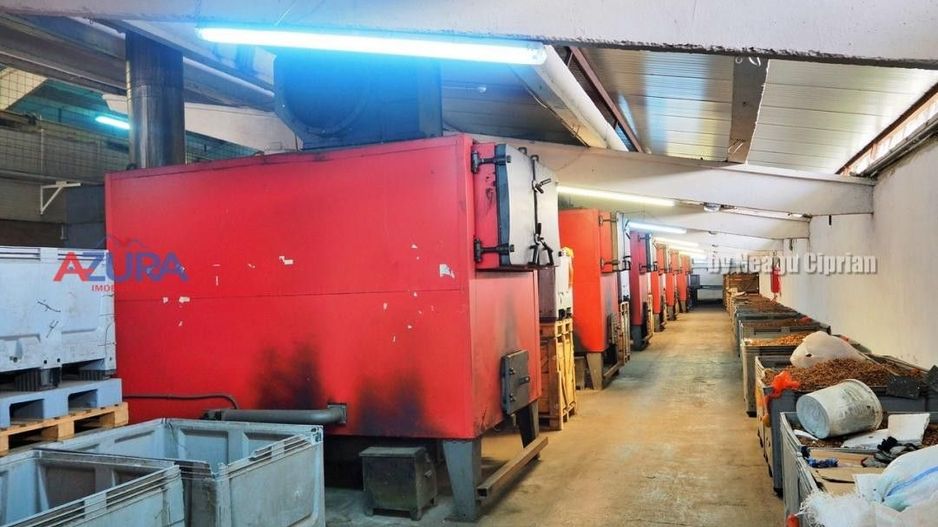 COMISION 0% - HALE Calinesti Arges - Poză 40