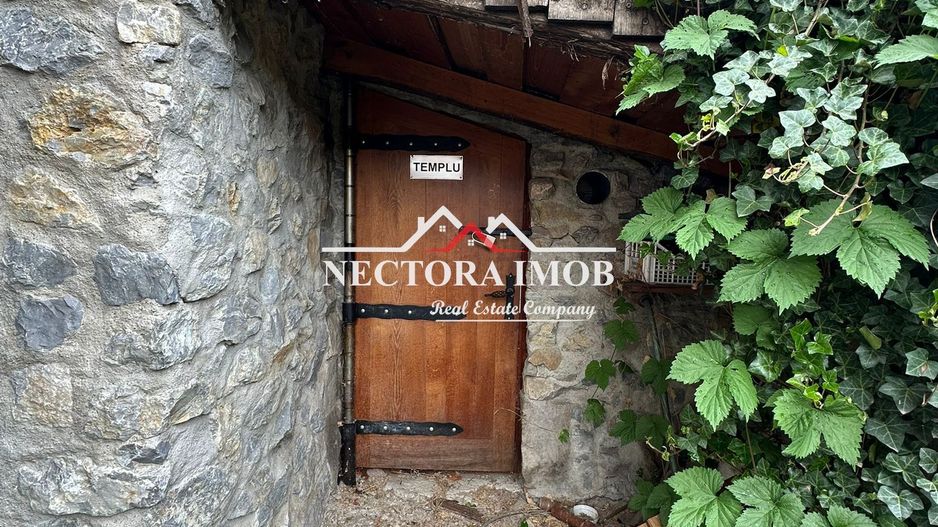 NECTORA IMOB Exclusivitate-Casa 5 camere, 2 bucatarii, 2300 mp teren - Poză 14
