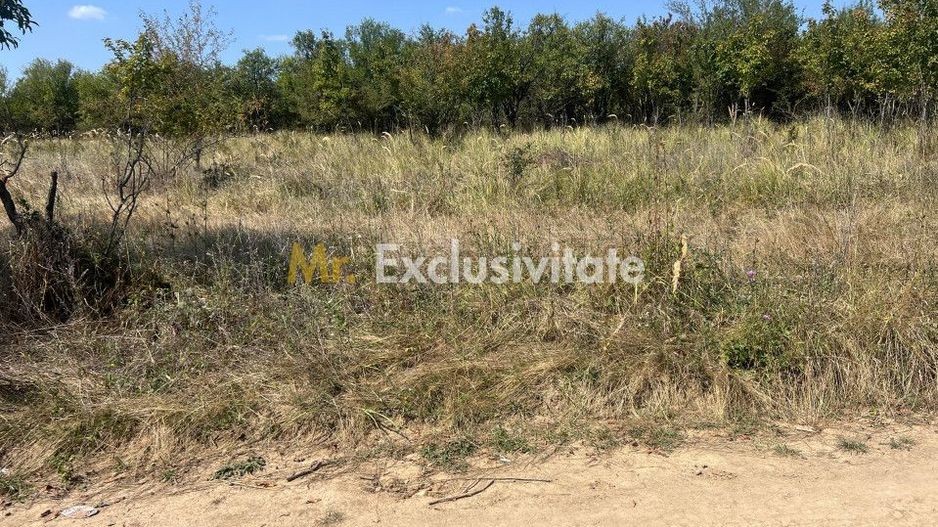 Teren intravilan 5744 mp Mosoaia-Prunilor - Poză 3