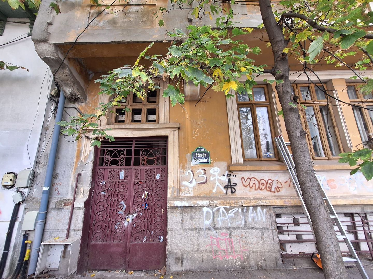 Proprietate Prestigioasa 700 mp - 344 mp teren Pache - Ferdinand - Poză 8
