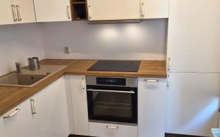 Apartament Baneasa / Somesul Rece - Poză 5