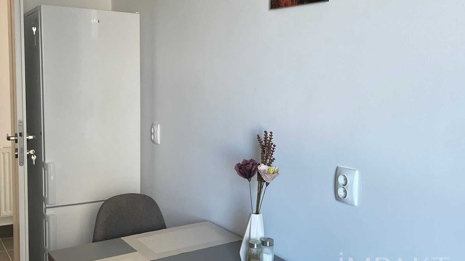 Apartament 3 camere de închiriat , Calea Turzii - Poză 5