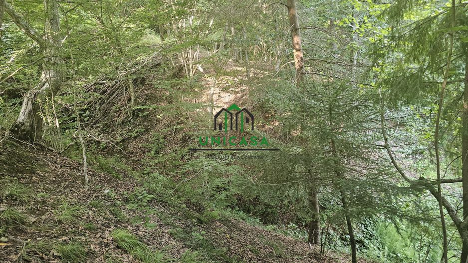 Teren extravilan  cu potential turistic - Brezoi - Poză 3