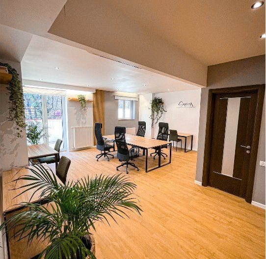 3 camere| DECOMANDAT| LOC DE PARCARE INCLUS  +TERASA 43 MP| VICTORIEI - Poză 2