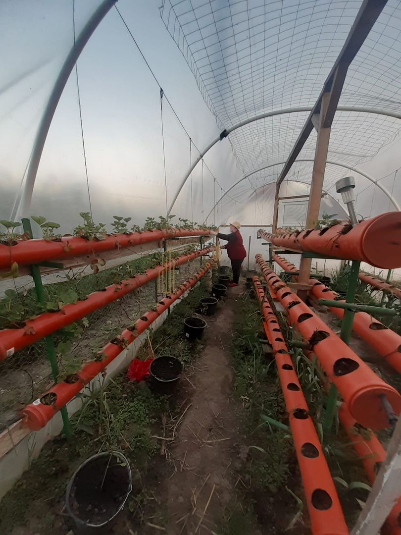 Casa de vanzare cu potential ridicat in Cornatel jud.Sibiu - Poză 5