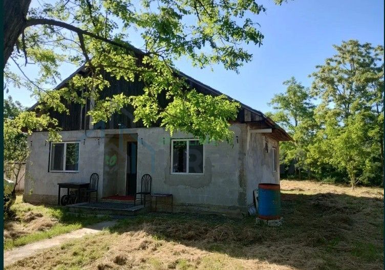 Casă de vânzare pe malul Prutului – Moreni, Iași, teren 960 mp, zonă liniștită - Poză 3