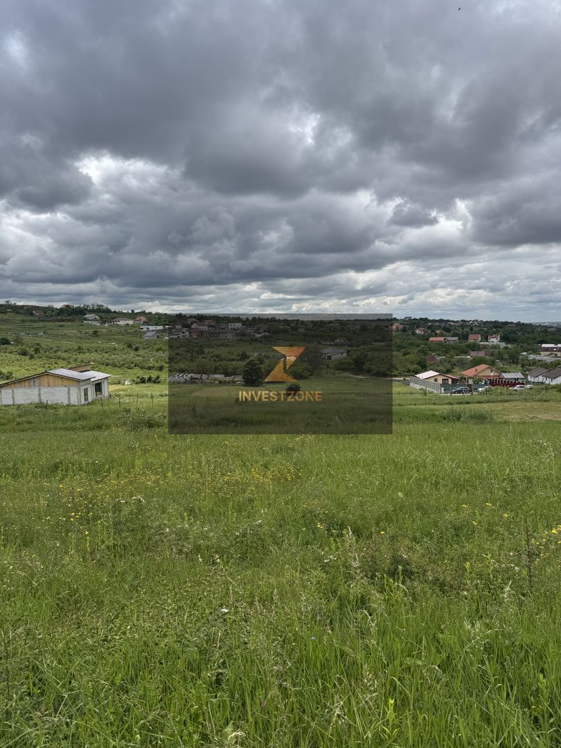 Teren intravilan Dealul Lavandei din Beldiceanu spre Săldăbagiu - Poză 7