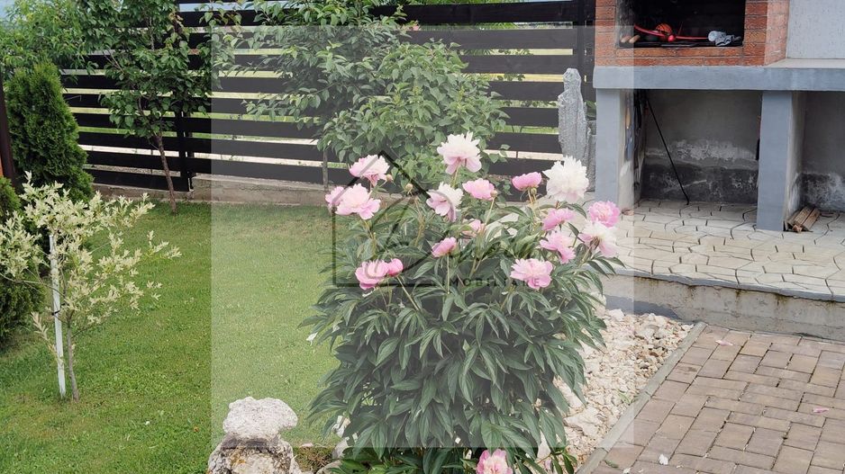 Vilă si Cabană Bod I 8 km de Brașov I constructie 2025 I COMISION 0% - Poză 12