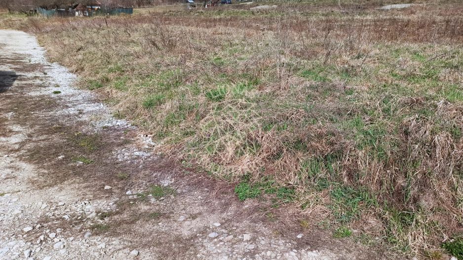 Teren intravilan 500 mp-ideal casa-Zona Dr. Tarpiului - Poză 3