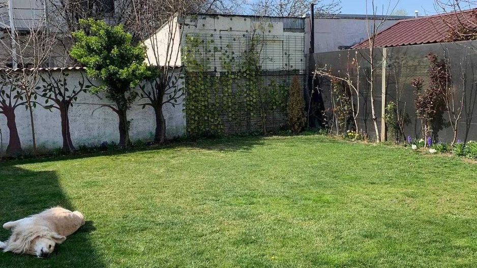 Vand  casa curte  + teren + SPATIU COMERCIAL - Poză 2