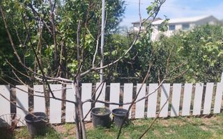 Teren intravilan-zona Metro - Poză 10