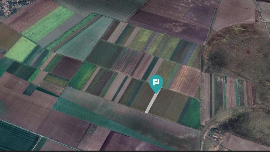 Teren extravilan de 14.500 mp în Caporal Alexa - Poză 3