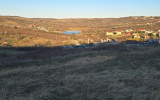 InvestZone vinde teren intravilan 20.000mp strada Prunilor -Oradea - Poză 2