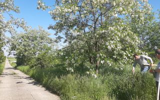 Teren de vânzare în Lugoj, judet Timis - Poză 3