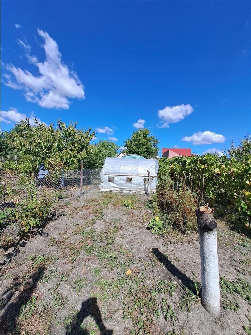 Casa individuala  Mehala aproape de Piata -Profi - Poză 2