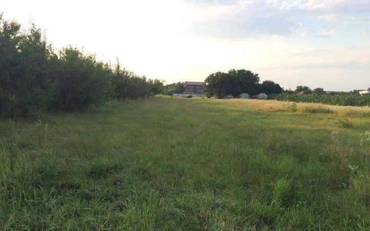 Teren de vanzare | Ciofliceni | Utilitati - Poză 1