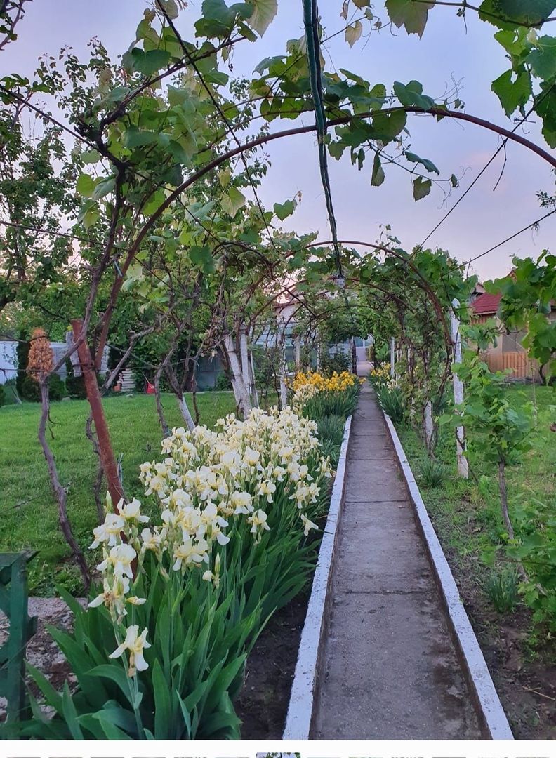 Casa | 9 camere | Garaj | Piscina | Teren 3.000 mp | Comision 0% - Poză 5