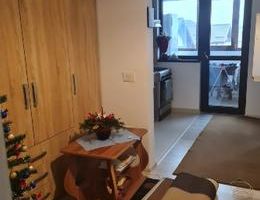 Apartament 1 camera, open space, etaj 3/3, Valea Lupului - Poză 5