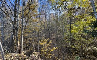 TEREN INTRAVILAN 13167 MP BUGHEA DE SUS ARGES - Poză 21