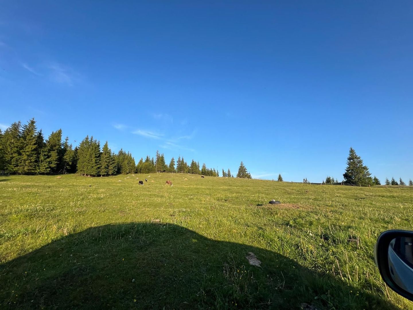 50 hectare teren | Moldova-Sulita | Potential turistic si agricol - Poză 2