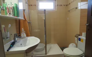 Vanzare Casa -Partial utilata/mobilata-teren 248mp Mogosoaia-Padure - Poză 15