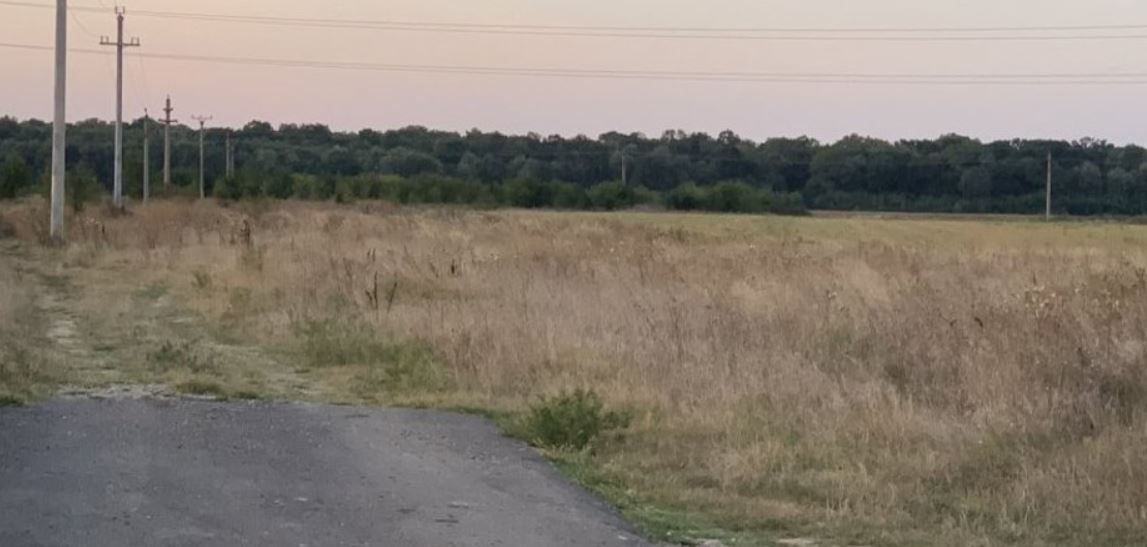 Teren intravilan Peris - Poză 1