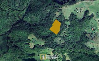 De vânzare teren extravilan  8,2037 ha pădure și pășune Borod, Bihor - Poză 1