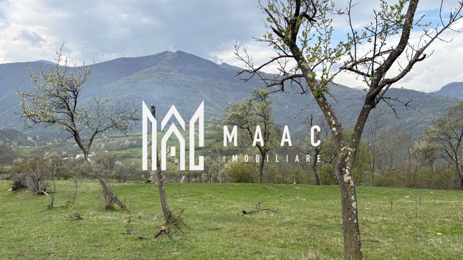 Teren de vânzare, 7750 mp I Orientare sudică I Caineni - Poză 4