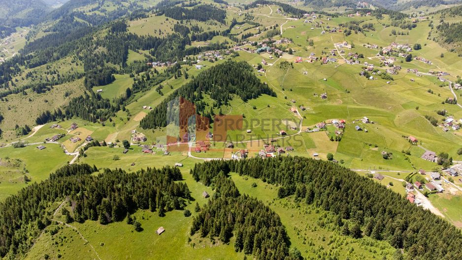 Teren Fundatica intravilan 4500 mp - Poză 5