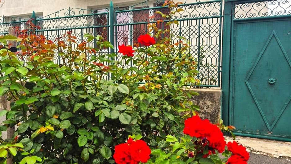 Casă pretabilă investiție, spațioasă, singur în curte, 600 mp teren - Poză 3