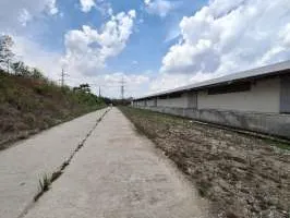 Proprietate industrială-depozitare cu cale ferată în Comuna Isalnita, jud. Dolj - Poză 17
