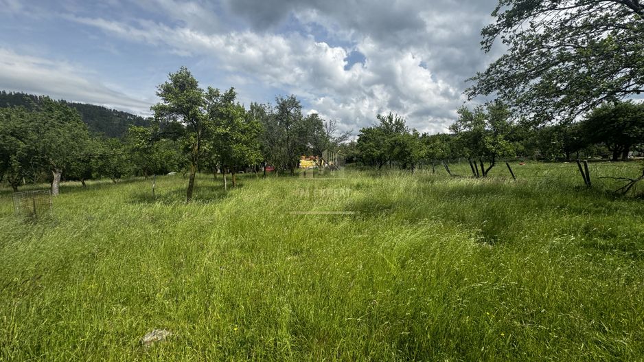 TEREN INTRAVILAN 4600 MP, VOINESTI, LERESTI, ARGEȘ - Poză 16