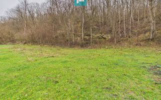 Casă cu teren de 24.679,73 mp, în Hălmagiu, Arad - Poză 24