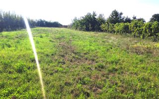 Casa Biharia - Poză 4