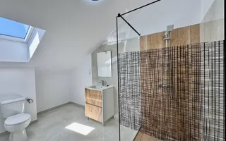 Penthouse 5 camere - 3 bai, terasa, intabulat  (91Q-Mo-ap.7) - Poză 12