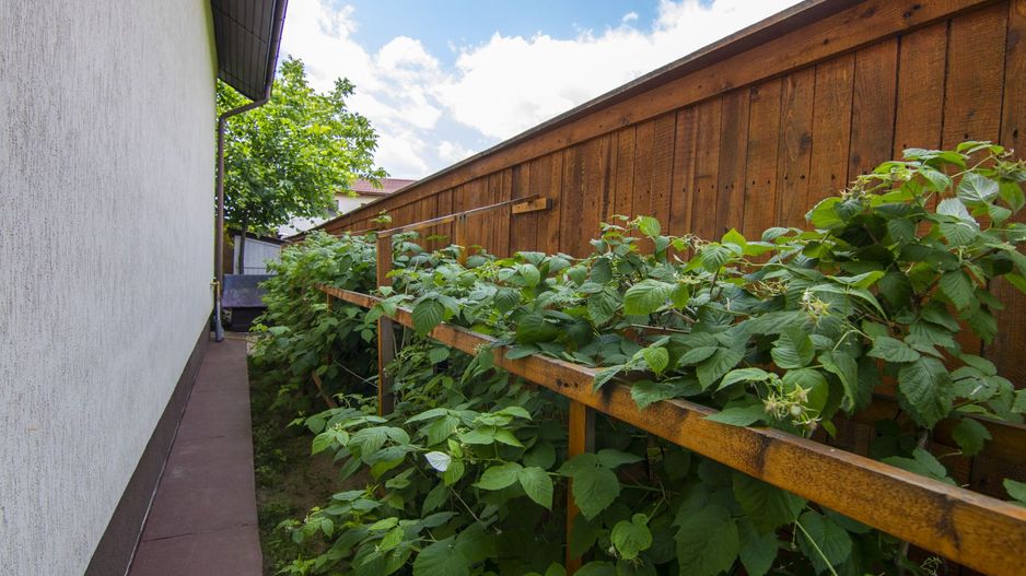 Casă / Vilă, 5 camere, teren 690 Mp., Prelungirea Ghencea - Maracineni - Poză 19