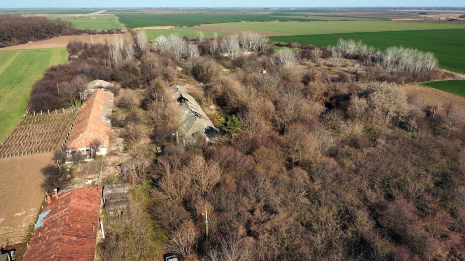 Ferma si livada de meri in judetul Ilfov - Poză 10