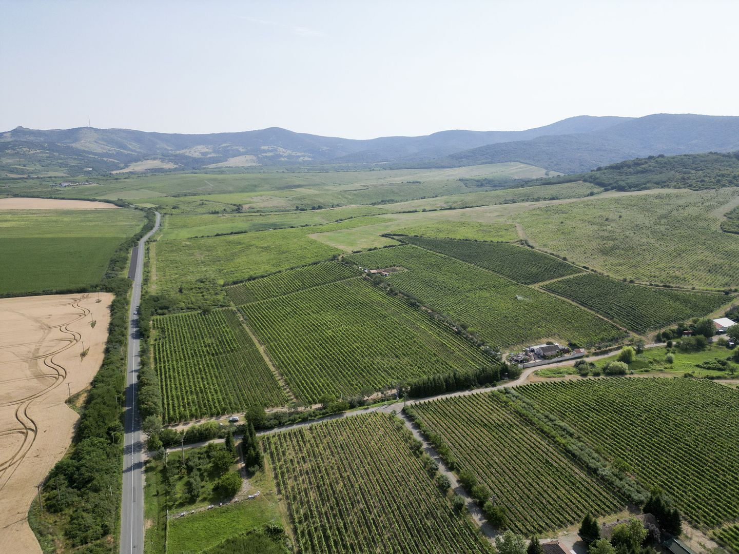 Vie Tradițională „Halta Lupilor” - Poză 28