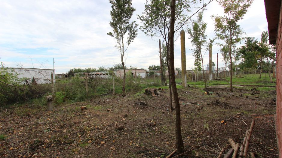 Vanzare hale Mosnita Noua-fosta Ferma 7 - Poză 45