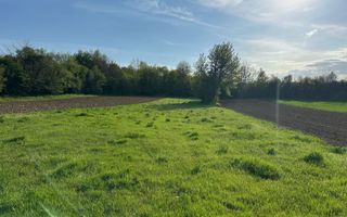 VÂNZARE TEREN CU POTENȚIAL MULTIPLU - Poză 3